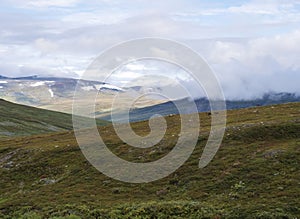 Landscape of Lapland nature at Kungsleden hiking trail with reindeers, colorful mountains, rocks, autumn colored bushes, birch