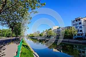 Landscape with large green old trees near Dambovita river and clear blue sky in the center of Bucharest, Romania, in a sunny