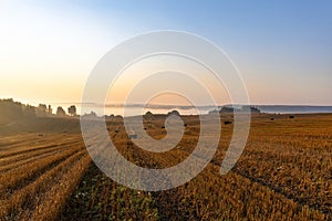 Landscape of a large mown agricultural wheat field with bales of straw lying on the ground at sunrise. Morning misty countryside