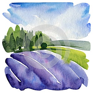 Landscape with lavender field, violet meadow. Hand drawn Lavender blossom watercolor illustration