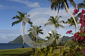 Landscape of Le Diamant in Martinique
