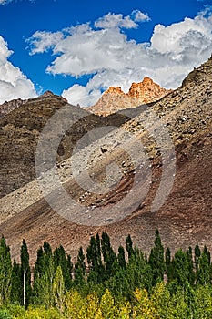 Landscape of Leh, Ladakh, Jammu and Kashmir, India