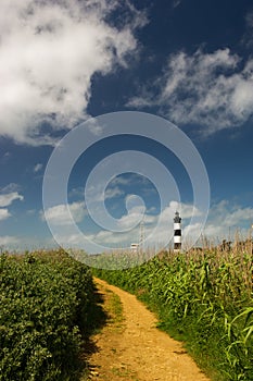 Landscape and lighthouse Island Oleron in France