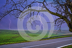 Landscape with lightning, tree, field, road. Picturesque background