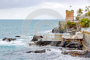 Landscape of Nervi