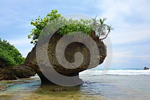 Landscape of Little Liuqiu, vase rock in Liuqiu island, Pingtung , Taiwan.