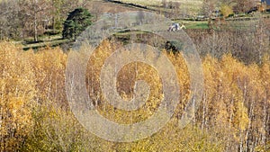 Landscape in livradois forez, auvergne, france