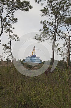 Landscape with Lok Yeay Meo statue