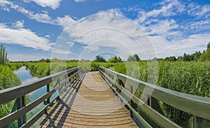 Landscape of London Wetlands Center nature reserve