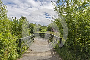 Landscape of London Wetlands Center nature reserve