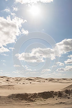 Landscape of a lonely desert at noon