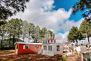 Landscape with longleaf pine trees and small religious cross structures against the white clouds