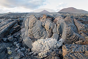 Landscape looking like moon, La Restinga, El Hierro, Canary Ialnds, Spain photo