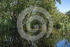 Landscape in the Loosdrechtse Plassen near Loosdrecht. Province of North Holland in the Netherlands