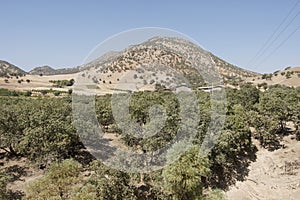 Landscape, Lorestan, Iran, Asia