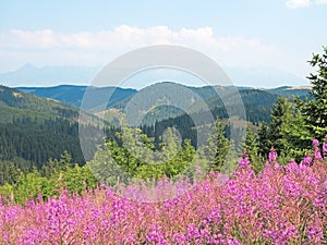 Landscape in the Low Tatras