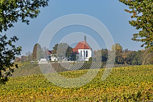Landscape in Lower Franconia, colorful vineyards with colorful leaves in autumn colors with the castle Vogelsburg with blue sky