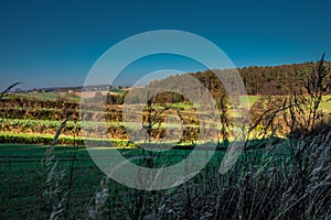 Landscape of Lublin with fields and forests.