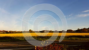 Landscape in Luxembourg