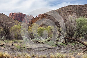 Landscape at Macdonnell ranges, close to Corroboree Rock. Orange and red rocky walls, green dry vegetation. Colorful contrast.