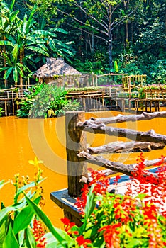 Landscape of Mae Fah Luang garden