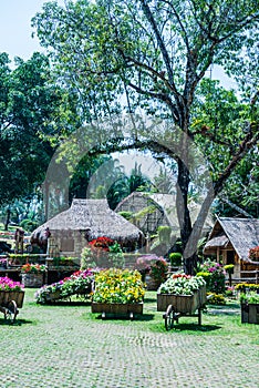 Landscape of Mae Fah Luang garden