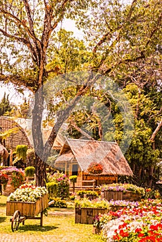 Landscape of Mae Fah Luang garden