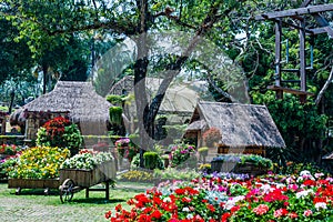 Landscape of Mae Fah Luang garden