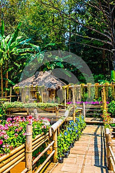 Landscape of Mae Fah Luang garden
