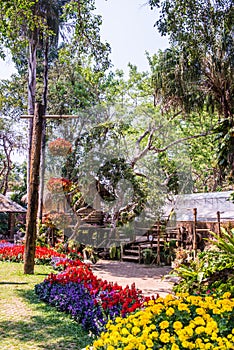 Landscape of Mae Fah Luang garden