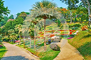 Landscape of Mae Fah Luang garden, Doi Tung, Thailand