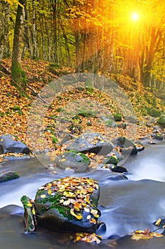 Landscape magic river in autumn forest.