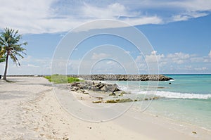 Landscape Maldive island blue ocean white sand and stones ashore