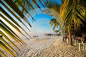 Landscape on Maldives island, luxury water villas resort and wooden pier. Beautiful sky and ocean and beach with palms background