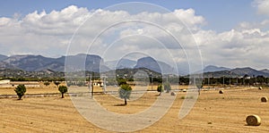 Landscape in Mallorca