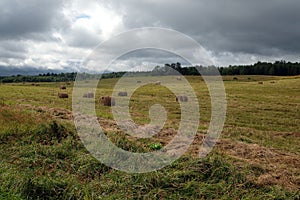 Landscape with many hay rolls on rural filed in the cloudy weather on last summer days