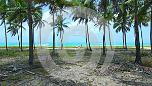 Landscape of Maracaipe beach, Ipojuca PE, Brazil