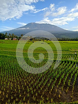 Landscape Marapi Mount at West Sumatra