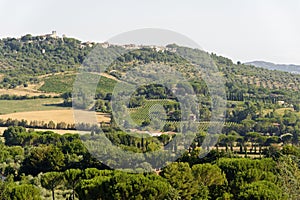 Landscape in Maremma (Tuscany)