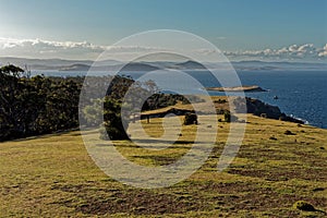 Landscape in Maria Island in Tasmania, national reservation in Australia, beautiful seaside and coastal scenery