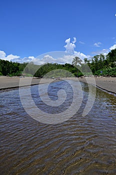 River and the beach photo