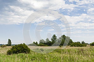 Landscape at Markiezaat