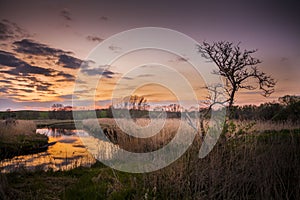 Landscape of a Marshland in northern germany