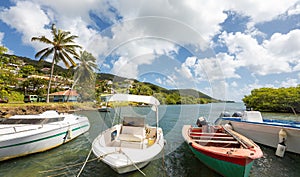 Landscape from Martinique, Caribbean island - Small Fishing Boats at mooring