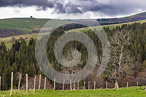 Landscape Massif du Sancy