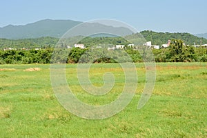 Landscape with meadow