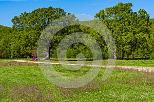 Landscape meadow with a centuries-old oak trees