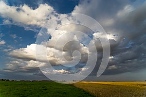 Landscape with meadow, cereal and cloudy sky