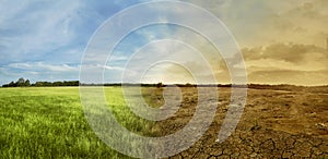 Landscape of meadow field with the changing environment