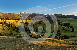 Landscape with meadow and forest